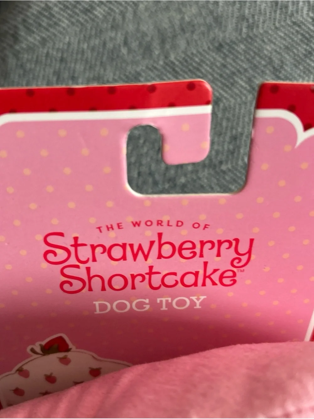 Strawberry Shortcake Dog Toy- NWT